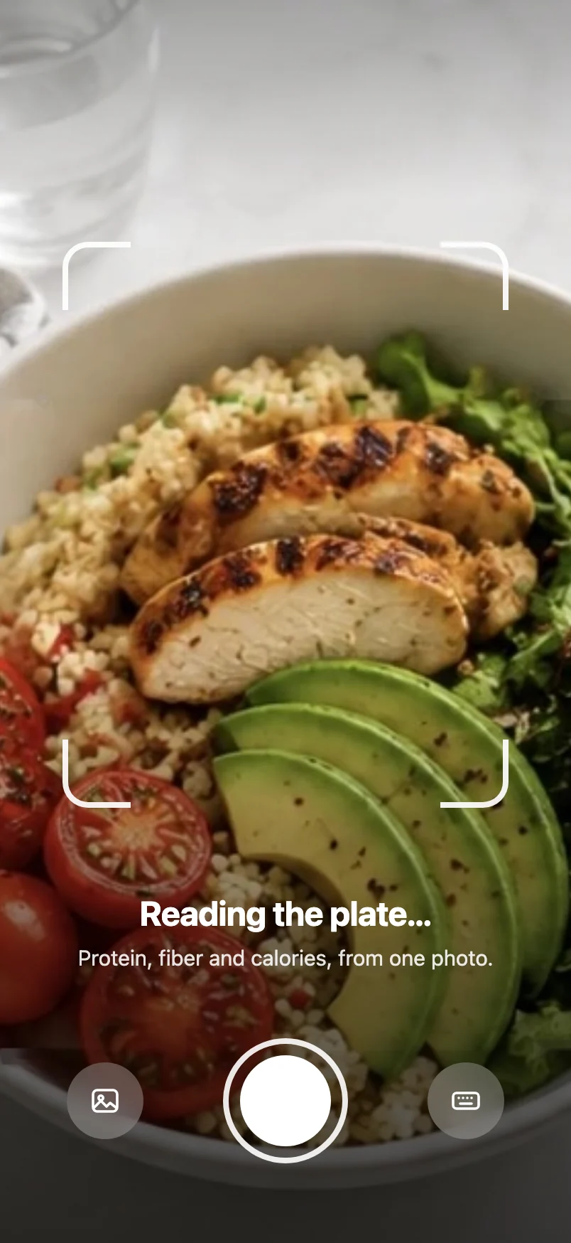 The food scanner, full screen: a chicken quinoa bowl being read for protein, fiber and calories