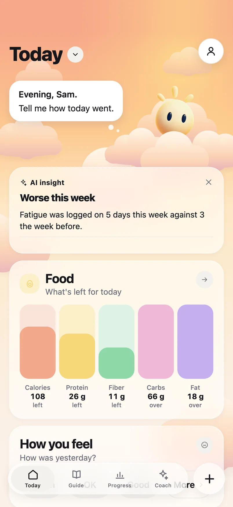 Morning's Today screen: Sunny in the sky, a short insight, what's left to eat, how you feel and your weight trend